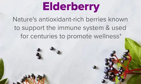 How Elderberry Extract Powder Works as a Powerful Antioxidant？